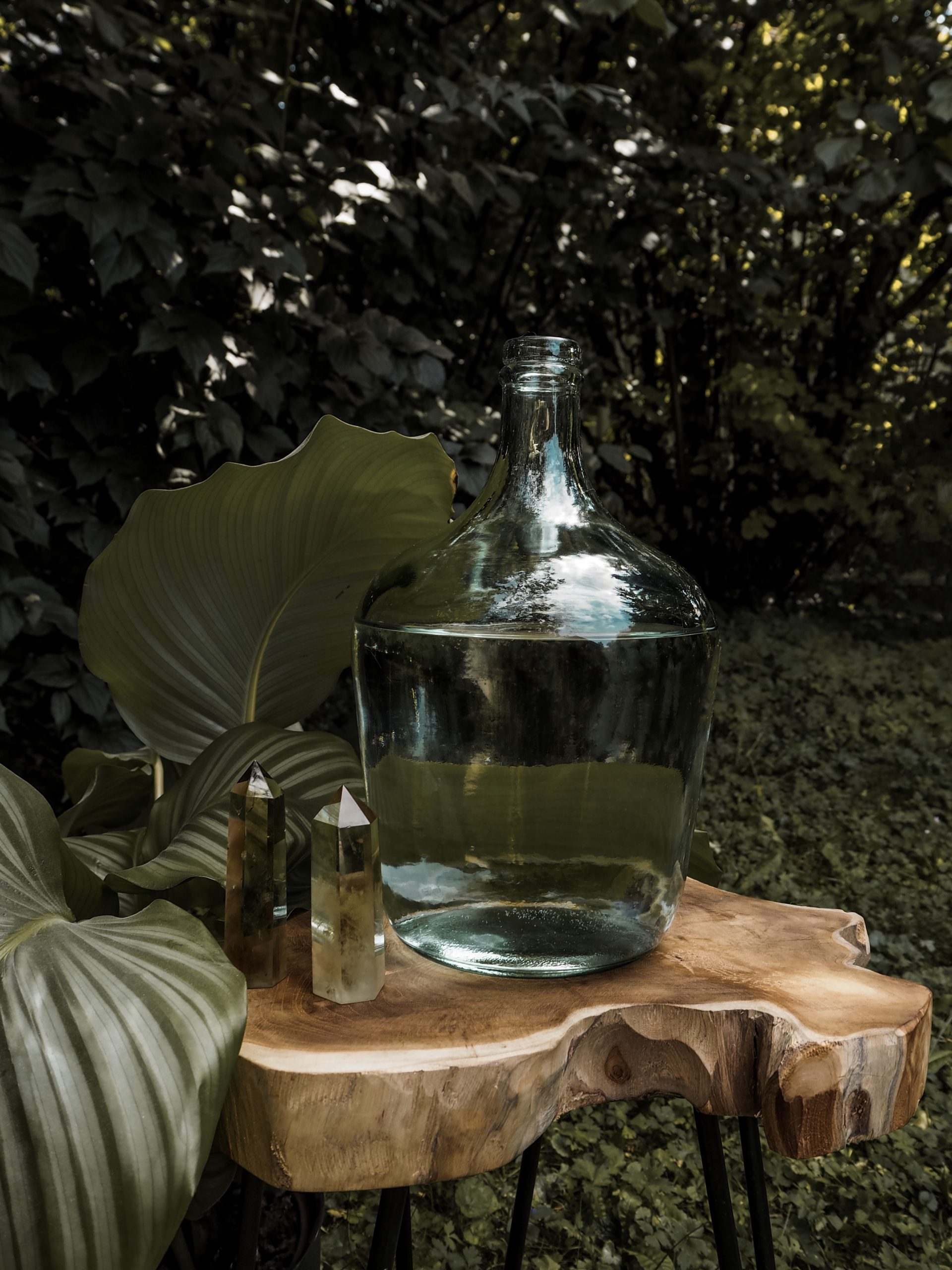 Countless Everyday Uses Of Kangen Water
