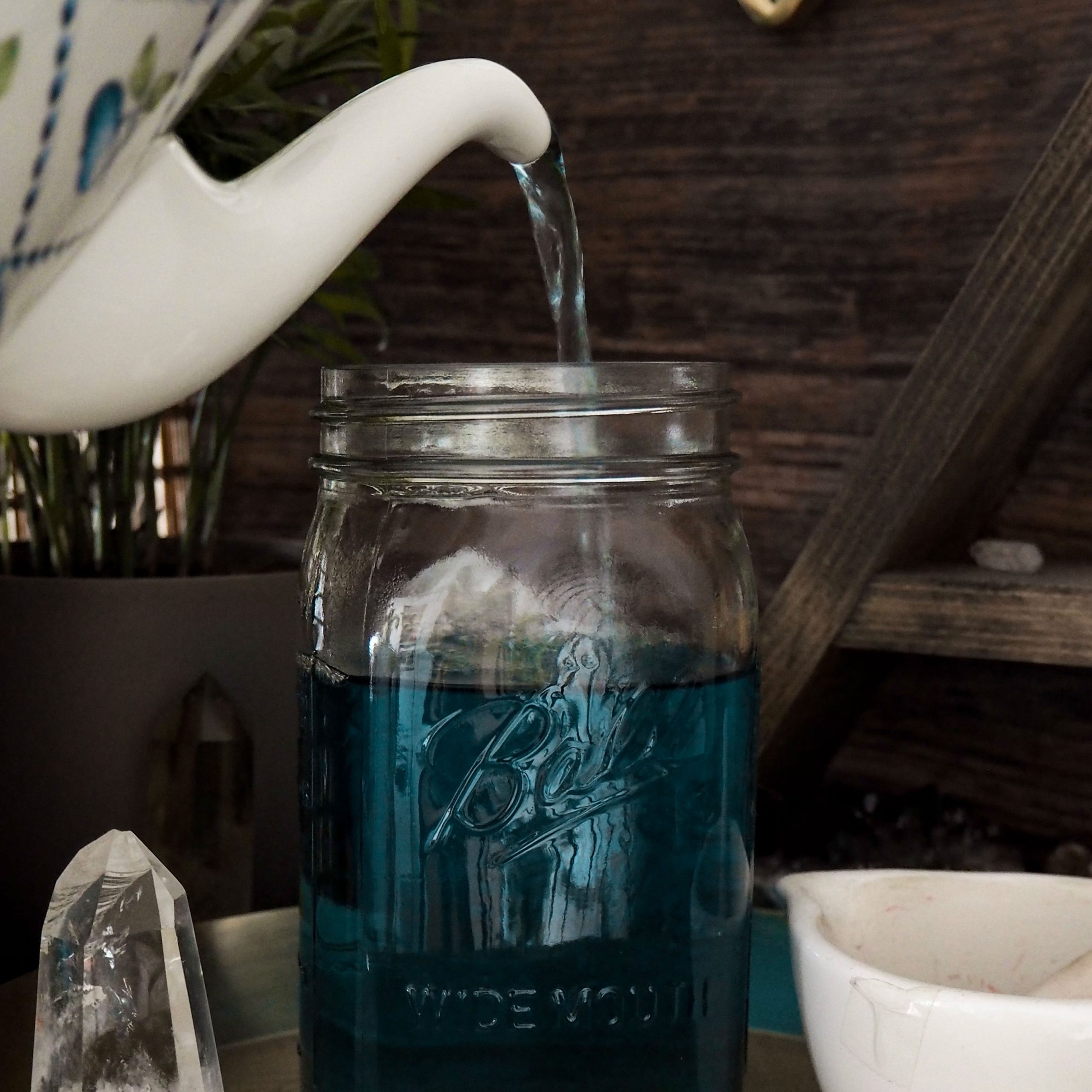 Blue Tea Plant Magic
